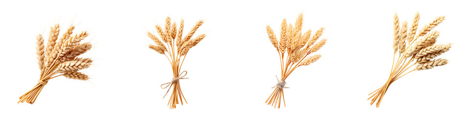 Wheat Sheaf Bundle Collection: Rustic Harvest Decorations