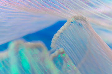 Iridescent Translucent Fabric Close-Up – Dreamy Layers and Shimmering Texture in Soft Blue for...