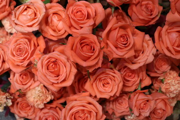 Fresh orange flowers for background