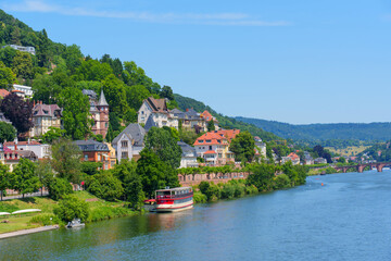 Scenic Riverside View of Heidelberg with River Boats and Green Hills
