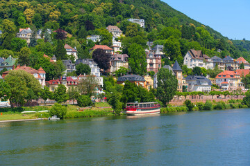 Scenic Riverside View of Heidelberg with Colorful Houses and Boat