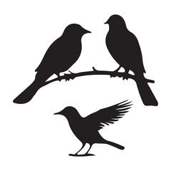 Fototapeta premium birds on a branch