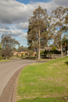 Houses, gumtrees and streets in a town