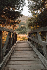Old Wooden Bridge in a Natural Landscape