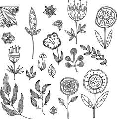 Contoured flowers in doodle style. Antistress coloring book. large botanical set.