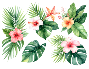 Bullseye with darts stuck in the center pg - Firefly_Watercolor of Tropical spring floral green leaves and flowers s isolated on transpare