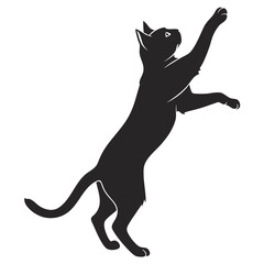 black cat silhouette