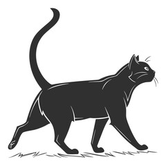 Obraz premium black cat vector illustration