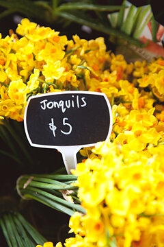 Bunches of yellow jonquils for sale