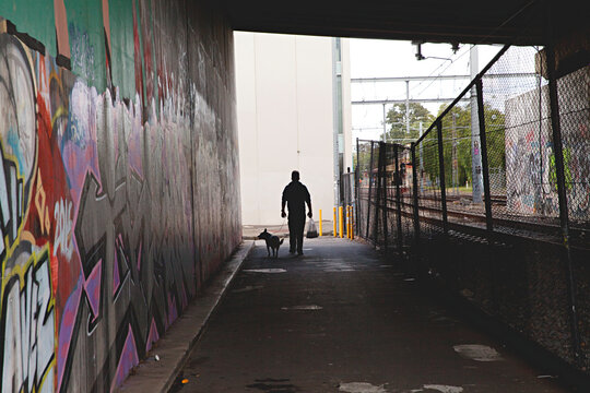 Shadow of a man and his dog walking beside a train track