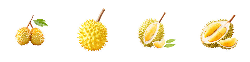 Delicious Durian Fruit Collection - Tropical Asian Delicacy