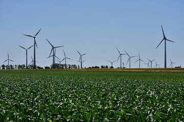 wind power plant in Lower Austria near capital city Vienna