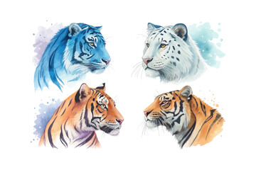 set of watercolor Tiger vector illustration isolated on white background