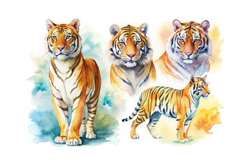 set of watercolor Tiger vector illustration isolated on white background