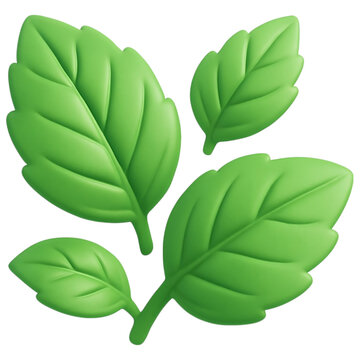 mint leaf 3d icon on transparent background