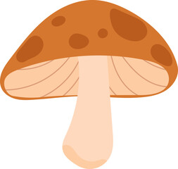Colorful Illustrated Wild and Edible Mushrooms – Botanical Cartoon Fungi Collection