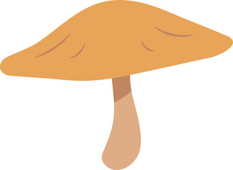 Colorful Illustrated Wild and Edible Mushrooms – Botanical Cartoon Fungi Collection