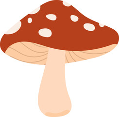 Colorful Illustrated Wild and Edible Mushrooms – Botanical Cartoon Fungi Collection