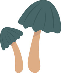 Colorful Illustrated Wild and Edible Mushrooms – Botanical Cartoon Fungi Collection