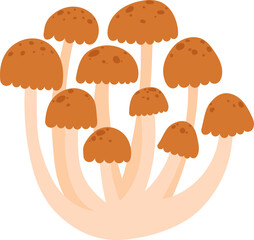 Colorful Illustrated Wild and Edible Mushrooms – Botanical Cartoon Fungi Collection