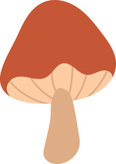 Colorful Illustrated Wild and Edible Mushrooms – Botanical Cartoon Fungi Collection