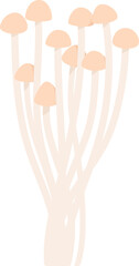Colorful Illustrated Wild and Edible Mushrooms – Botanical Cartoon Fungi Collection