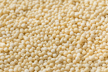 Dry Raw Organic Couscous