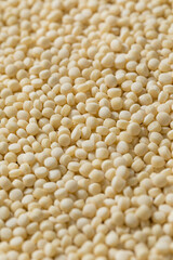 Dry Raw Organic Couscous