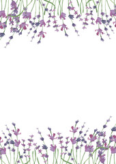 Watercolor hand drawn illustration of lavender flowers isolated on transparent background. A4 size vertical size poster, postcard, wedding invitation template