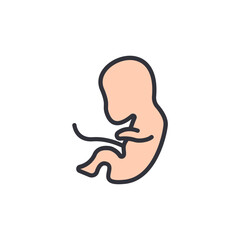 Illustration Of Developing Fetus Symbolizing Growth And New Life