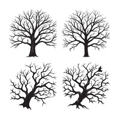 silhouette bare tree branch in winter set bundle on the white background