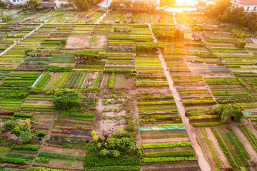 Sunrise Over Tra Que Vegetable Village, Hoi An