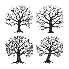 silhouette bare tree branch in winter set bundle on the white background