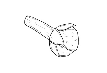 clove digital illustration on white background