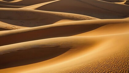 Sweeping Curves of Golden Desert Sand Dunes with Intricate Wind Patterns