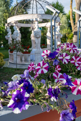 Flowers in garden with gazebo and ancient classical statues, outdoor floral scene