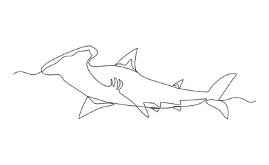 Continuous line of hammerhead shark fish underwater sea ocean marine wildlife animal sketch drawing editable stroke vector illustration