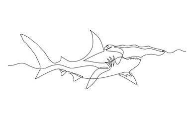 Continuous line of hammerhead shark fish underwater sea ocean marine wildlife animal sketch drawing editable stroke vector illustration