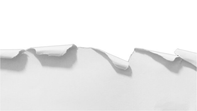 W Ripped Paper White Ripped Up Paper