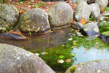 苔むした岩と清らかな水が織り成す日本庭園の美しい水辺の風景
