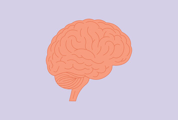 Human Brain Cognitive Function Organ vector illustration.