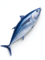 Fresh bluefin tuna on a clean white background, showcasing its vibrant colors and sleek form