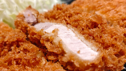 Fried pork on a plate with sauce