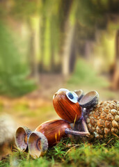 Fototapety na wymiar - Fototapeta24.pl