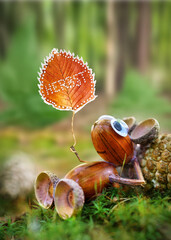 Whimsical Acorn Creation Celebrating Autumn