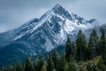 Obraz premium Vibrant snowy mountain peak forest base landscape scene 