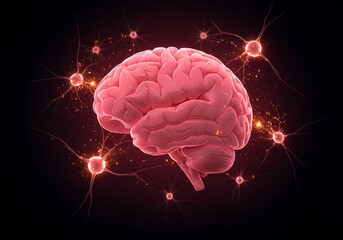 Human brain with neurons connecting and firing