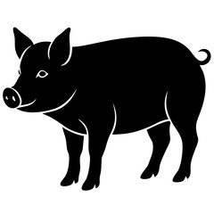 black and white wolf