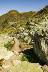 Blue Trail Marker Painted on Mountain Rock – Hiking Path Sign in Rugged Wilderness