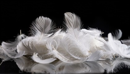 white feathers falling on a pile of feathers swan feather